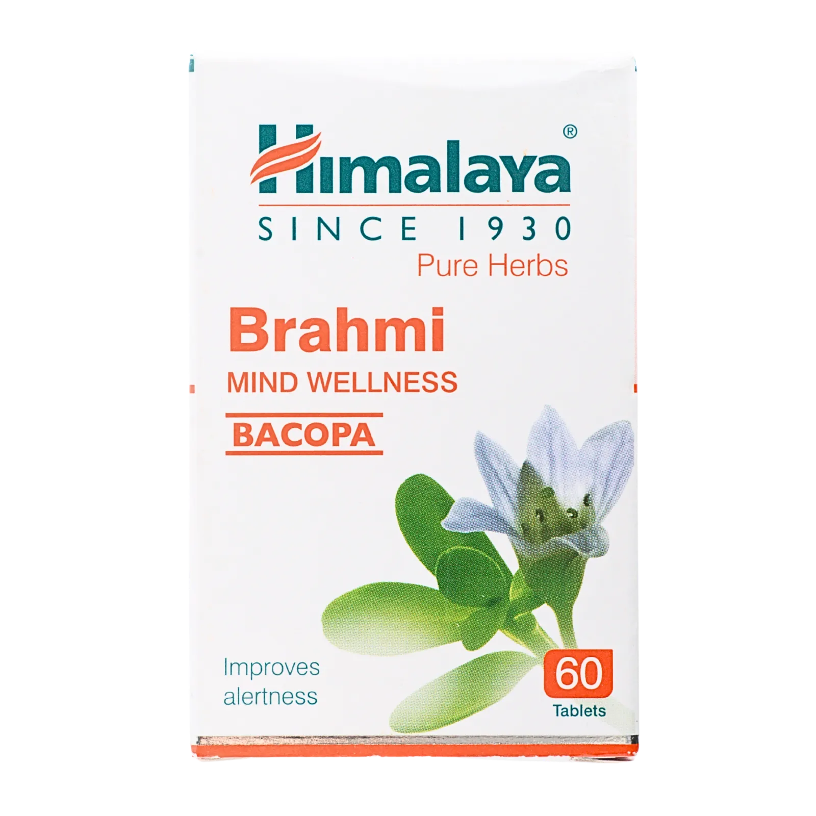 ブラフミー（Brahmi）の箱（表面）