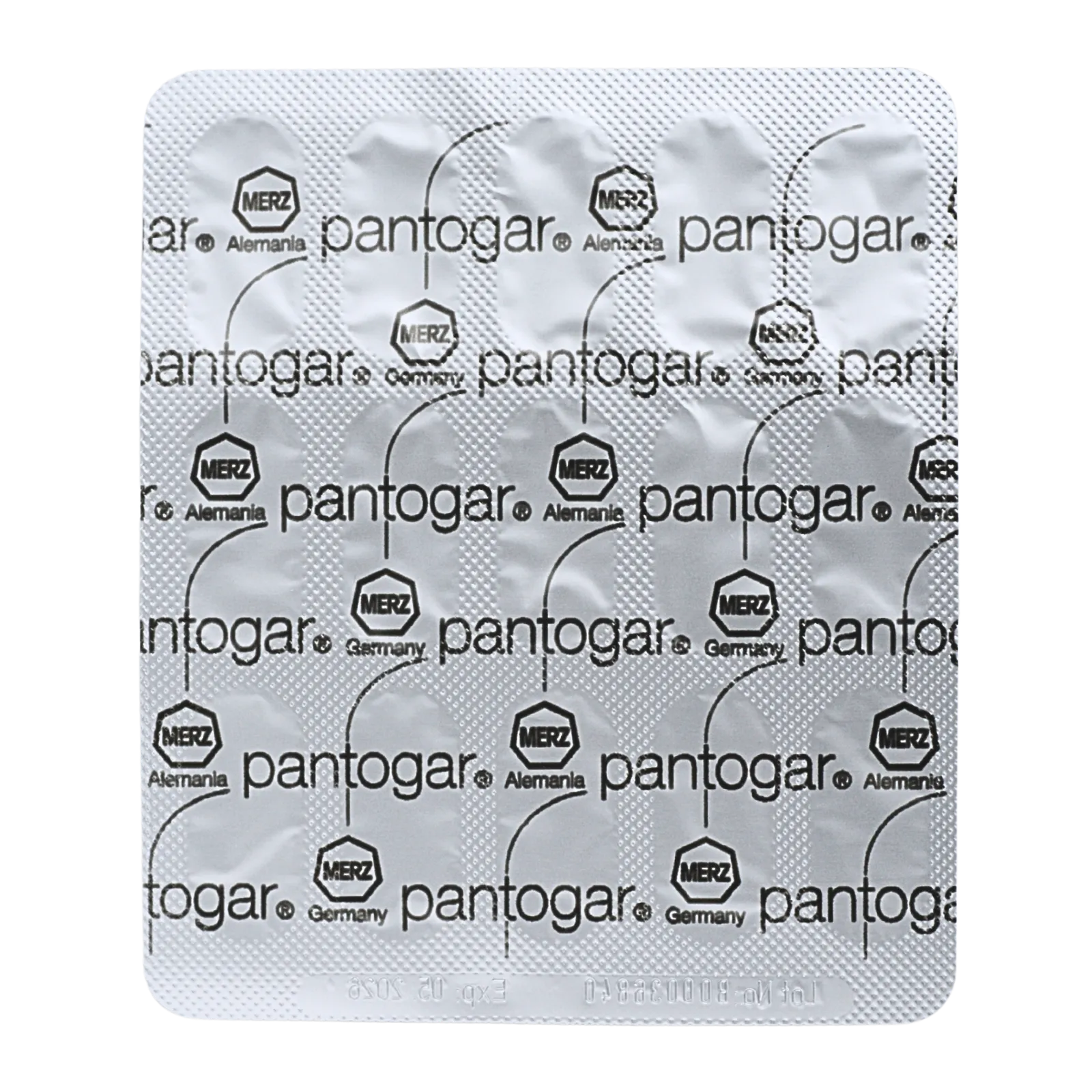 パントガール（pantogar）が15錠入ったシート（裏面）